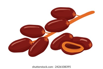 Hand drawn Branch of Dates Fruit Cartoon Icon for Iftar, Ramadan Kareem, Eid Al Fitr, Eid Al Adha Element Decoration Banner Isolated on White Background