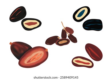 Hand drawn Branch of Dates Fruit Cartoon Icon for Iftar, Ramadan Kareem, Element Decoration Banner Isolated Vector illustration dates on White Background