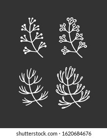 Hand drawn branch for design use. White Vector doodle flowers . Abstract pencil boho drawing. Artistic illustration elements plant and bloom on black chalk board