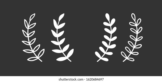 Hand drawn branch for design use. White Vector doodle flowers . Abstract pencil boho drawing. Artistic illustration elements plant and bloom on black chalk board