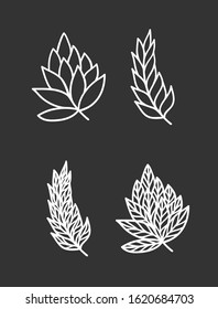 Hand drawn branch for design use. White Vector doodle flowers . Abstract pencil boho drawing. Artistic illustration elements plant and bloom on black chalk board