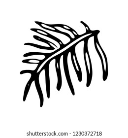 Hand drawn branch doodle. Sketch winter icon. Decoration element. Isolated on white background. Vector illustration.