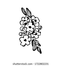 Hand drawn a branch of a flowering tree isolated on a white background. Doodle, simple outline illustration. It can be used for decoration of textile, paper and other surfaces.
