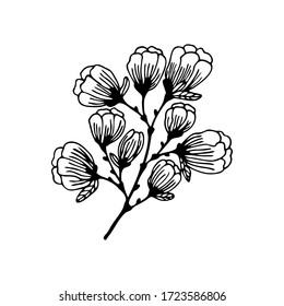 Hand drawn branch flowering tree isolated white background  Doodle  simple outline illustration  It can be used for decoration textile  paper   other surfaces 
