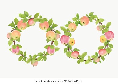 hand drawn branch  frame  wreath apple fruit background design
