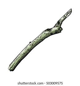 Hand drawn branch. Ink illustration. Watercolor imitation painted tree twig. Vector.