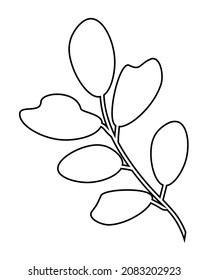 Hand drawn branch with leaves. Doodle vector illustration. Isolated icon on the white background. EPS 10.