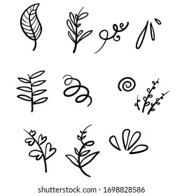 hand drawn branch and  leaves illustration set with doodle style vector isolated