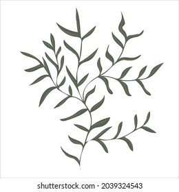 Hand drawn branch with leaves isolated on white background. Decorative floral element for your design. Vector illustration