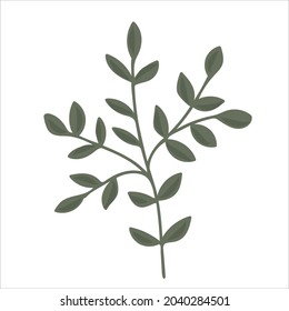 Hand drawn branch with leaves isolated on white background. Decorative floral element for your design. Vector illustration