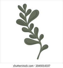 Hand drawn branch with leaves isolated on white background. Decorative floral element for your design. Vector illustration