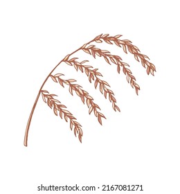 Hand drawn branch with leaves isolated on white. Vector illustration in sketch style.