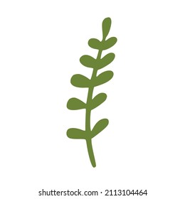 Hand drawn branch with leaves. Print, poster design. Vector illustration