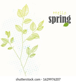 Hand drawn branch with leaves spring vector illustration halftone background