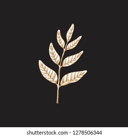 Hand drawn branch of leaves vector
