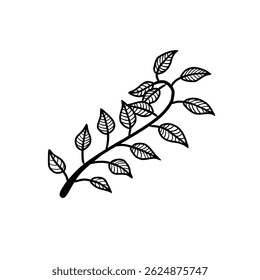 Hand drawn branch with leaves vector. Botanical Hand Drawn Vector Element. Sketch Style Leafy Branch Illustration