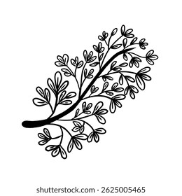 Hand drawn branch with leaves vector. Botanical Hand Drawn Vector Element. Sketch Style Leafy Branch Illustration