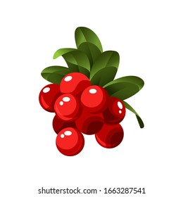 Hand drawn branch lingonberry berries with leaves