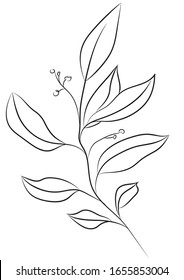 Hand drawn branch on white background. Can be used for logotypes creating, wedding invitations and greetings and business cards, for your branding, web design, pattern