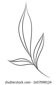 Rama dibujada a mano sobre fondo blanco. Se puede utilizar para crear logotipos, invitaciones de boda y saludos y tarjetas de visita, para su marca, diseño web, patrón