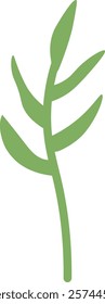 Hand Drawn Branch Plant Vector Illustration