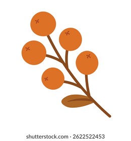 Hand drawn branch with red berries and leaf. Autumn harvest in flat cartoon style.