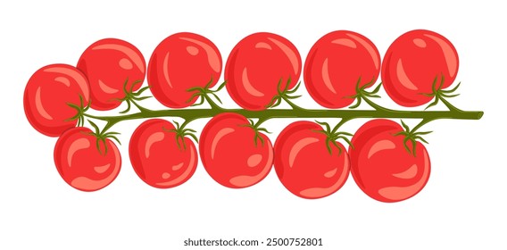 Hand drawn branch of red cherry tomatoes on white background