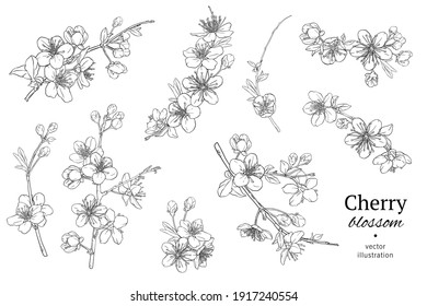 Hand Drawn Branch Of Sakura With Blooms, Flowers, Leaves, Petals.  Modern Line Art Style. Botanical Composition For Card, Invitation, Logo, Fabric Print, Packaging.