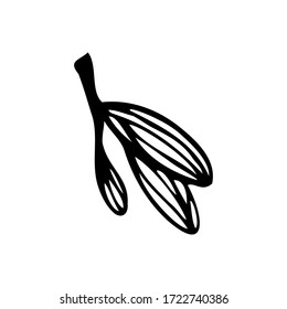 Hand drawn branch of a tree isolated on a white background. Doodle, simple outline illustration. It can be used for decoration of textile, paper and other surfaces.