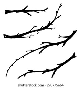 Hand drawn branches.