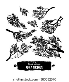 Hand drawn branches.