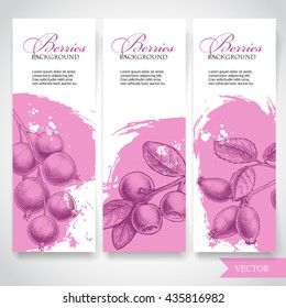 Hand drawn branches with berries banners. Blueberry, black currant and rose hip on rough pink watercolor paint background with white splashes. 