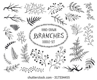 Hand drawn branches collection. Set of doodle branches isolated in white background. Floral decorative elements for postcard and invitation design. Vector illustration.