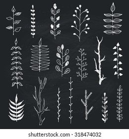 Hand drawn branches collection. Set of simple doodle branches drawn on chalk board. Vintage branches. Floral decorative elements for postcard and invitation design.