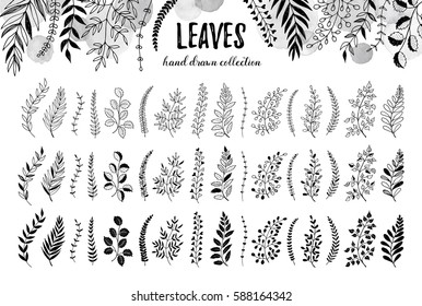 Hand drawn branches collection. Set of sketch style leaves isolated on white background. Vintage ink floral elements. Decorative plants for greeting card and invitation design.