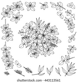 Hand drawn branches collection. Vector  illustration. Isolated on white background. All elements are isolated and editable.
