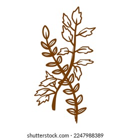 hand drawn branches with leaves doodle outline style
