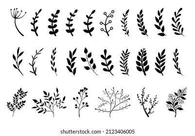 Hand drawn branches with leaves and flowers vector icon