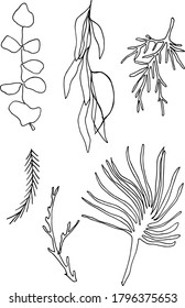 Hand drawn branches with leaves gaphic botanical illustration nature plant drawing design decorative vector doodle set line sketch ornament art