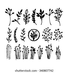 Hand drawn branches and leaves. Ink doodles. For your design. White background.