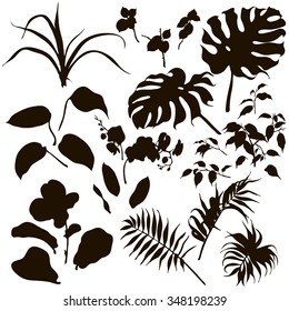 1,809,498 Plant silhouettes Images, Stock Photos & Vectors | Shutterstock