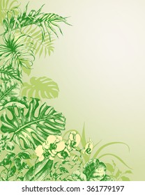Hand drawn branches and leaves of tropical plants. Natural  green background. 