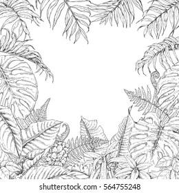 Hand Drawn Branches Leaves Tropical Plants Stock Vector (Royalty Free ...