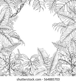 Hand drawn branches and leaves of tropical plants. Monochrome square floral frame. Dieffenbachia, ficus, fern, palm fronds sketch. Black and white illustration coloring page for adult.