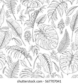 Hand drawn branches and leaves of tropical plants. Monochrome  floral pattern. Monstera, fern, palm fronds sketch. Black and white seamless texture.