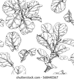 Hand drawn branches and leaves of tropical plants. Monochrome Ficus Lyre sketch pattern. Black and white seamless texture.