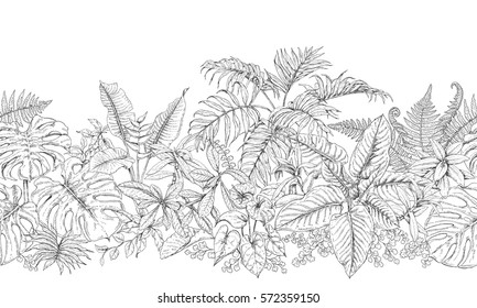 Hand drawn branches and leaves of tropical plants. Monochrome  line horizontal floral pattern. Black and white seamless texture. Vector sketch.