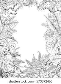 Hand drawn branches and leaves of tropical plants. Monochrome rectangle vertical l floral frame. Monstera, ficus, fern, liana, palm fronds sketch. Black and white illustration coloring page for adult.