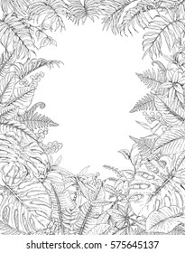 Hand drawn branches and leaves of tropical plants. Monochrome rectangle vertical l floral frame. Monstera, fern, palm fronds sketch. Black and white illustration coloring page for adult.