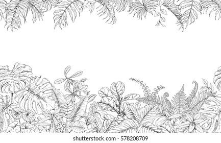 Hand drawn branches and leaves of tropical plants. Black and white seamless line horizontal texture. Monochrome  doodle  floral pattern. Vector sketch.
